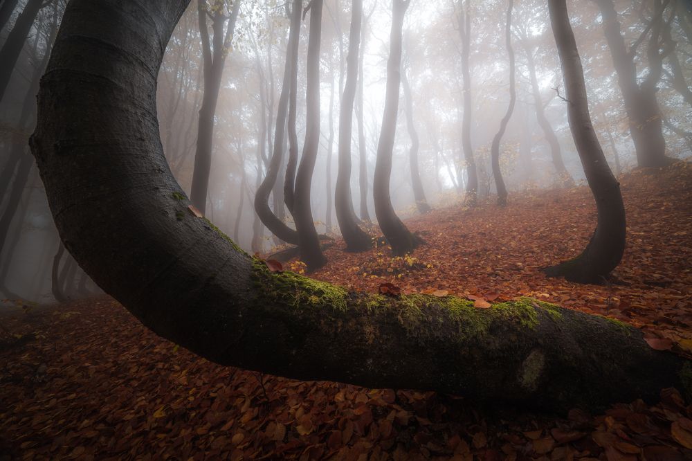 Photograph by Luboš Prchal