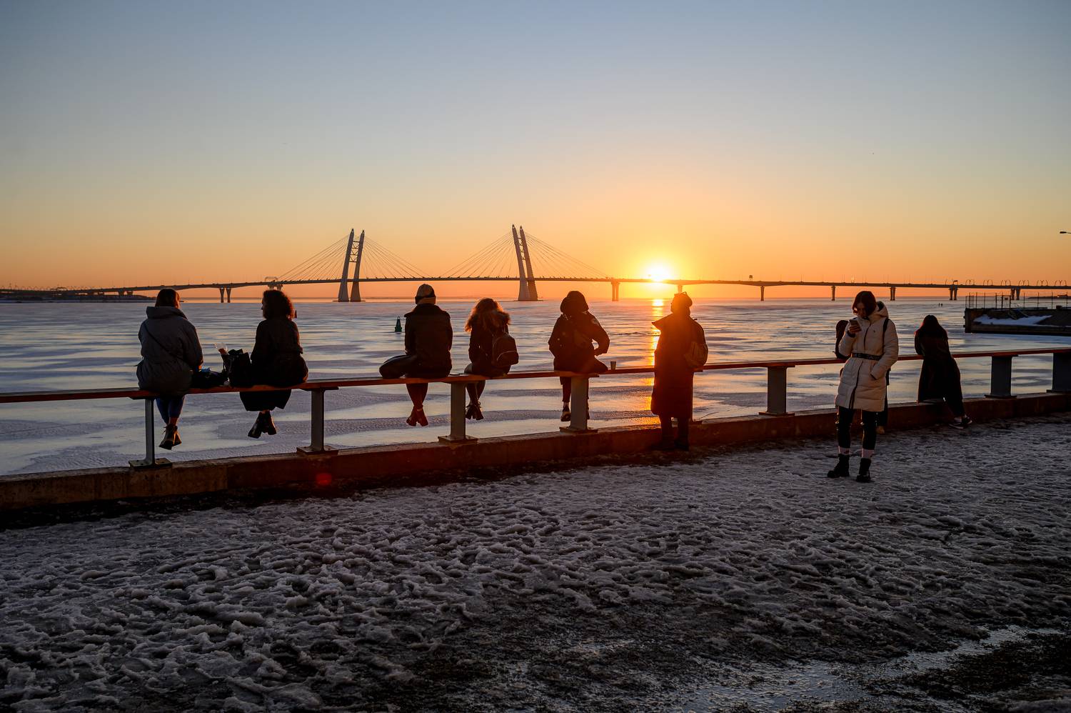 Photo #8935662