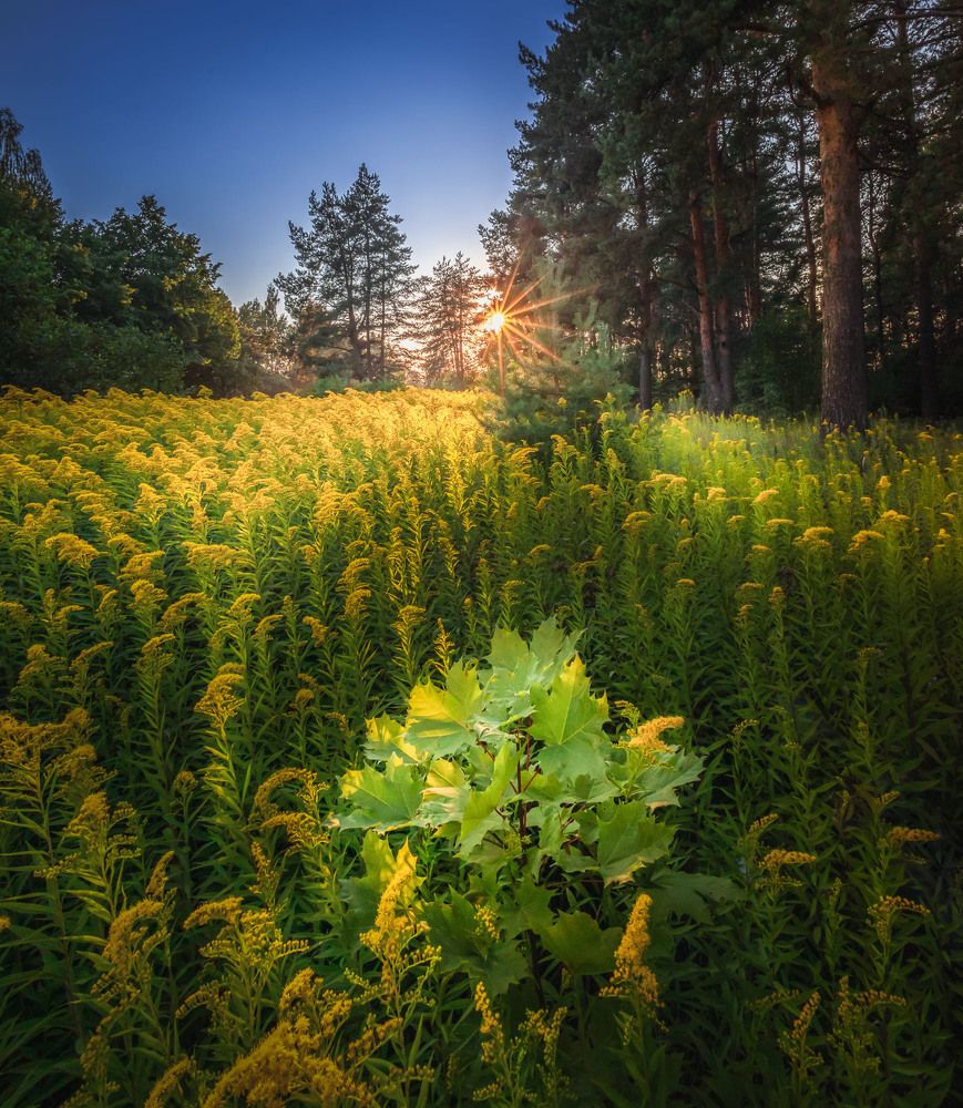 Photograph by Evgeny Lutsko