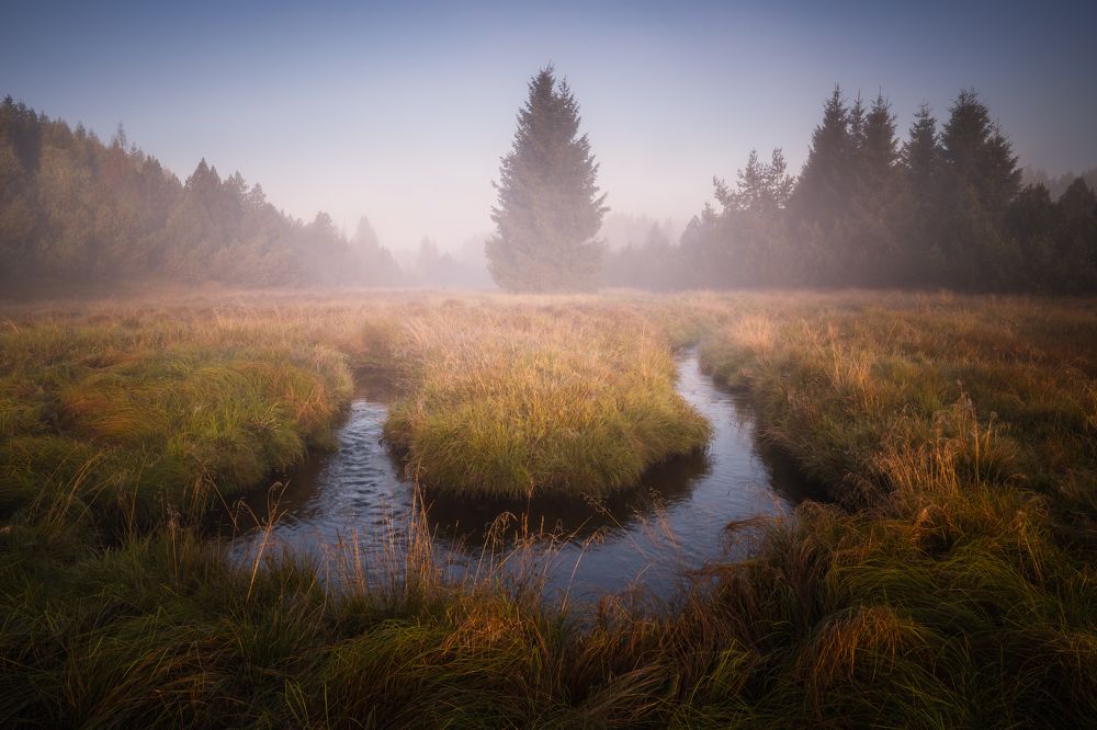 Photograph by Luboš Prchal