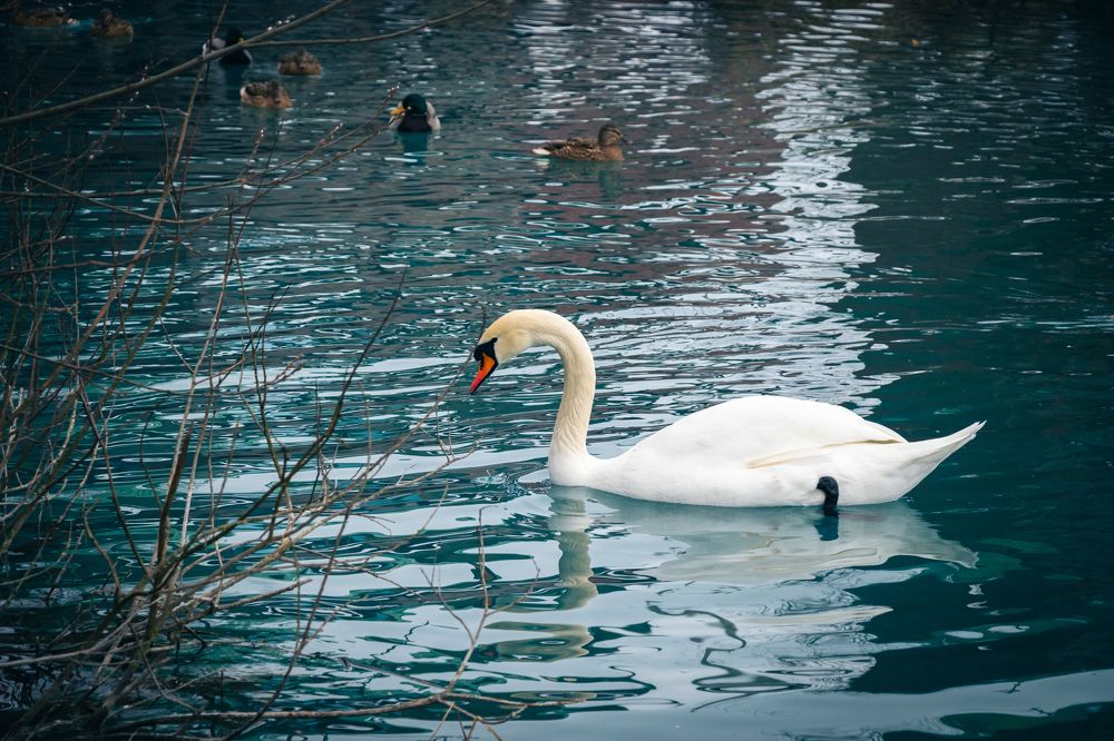 Photograph by Андрей