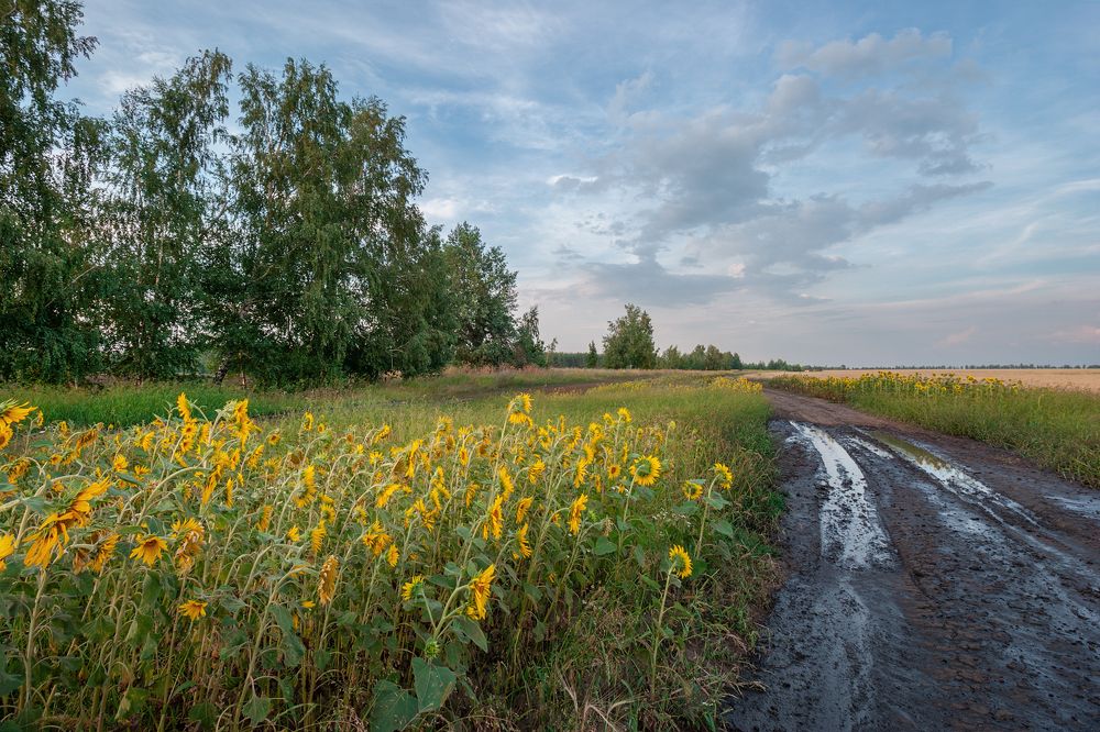 Photograph by Андрей Ларионов
