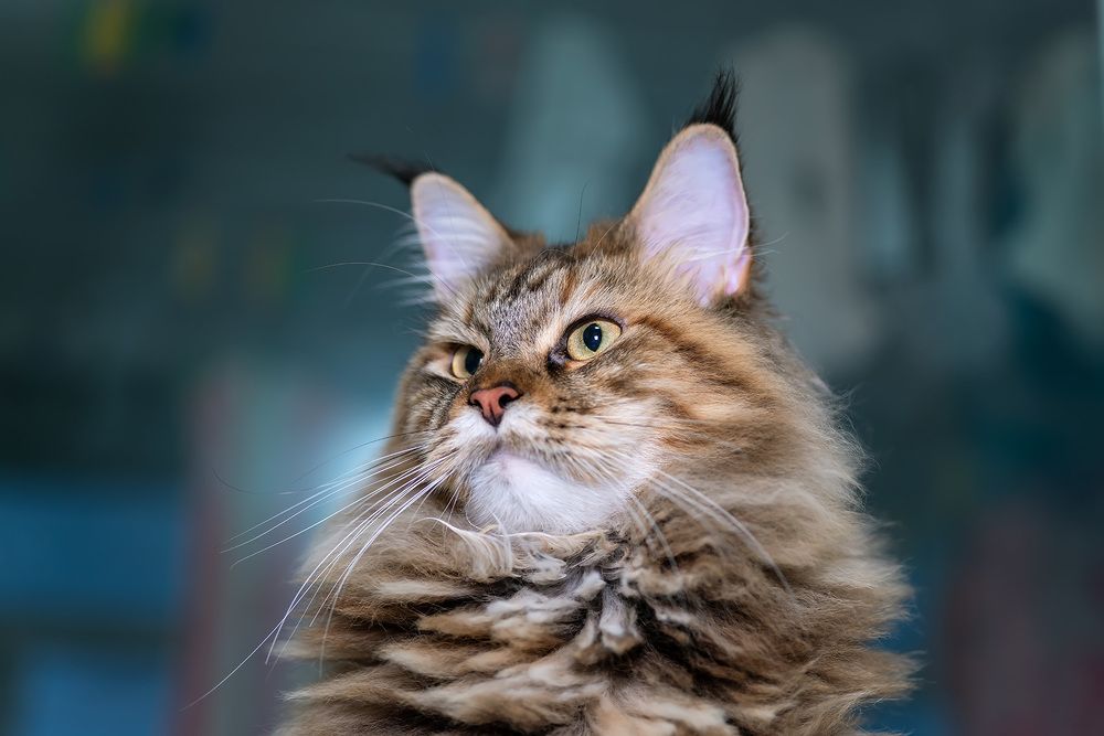 Photograph by Александр Земляной