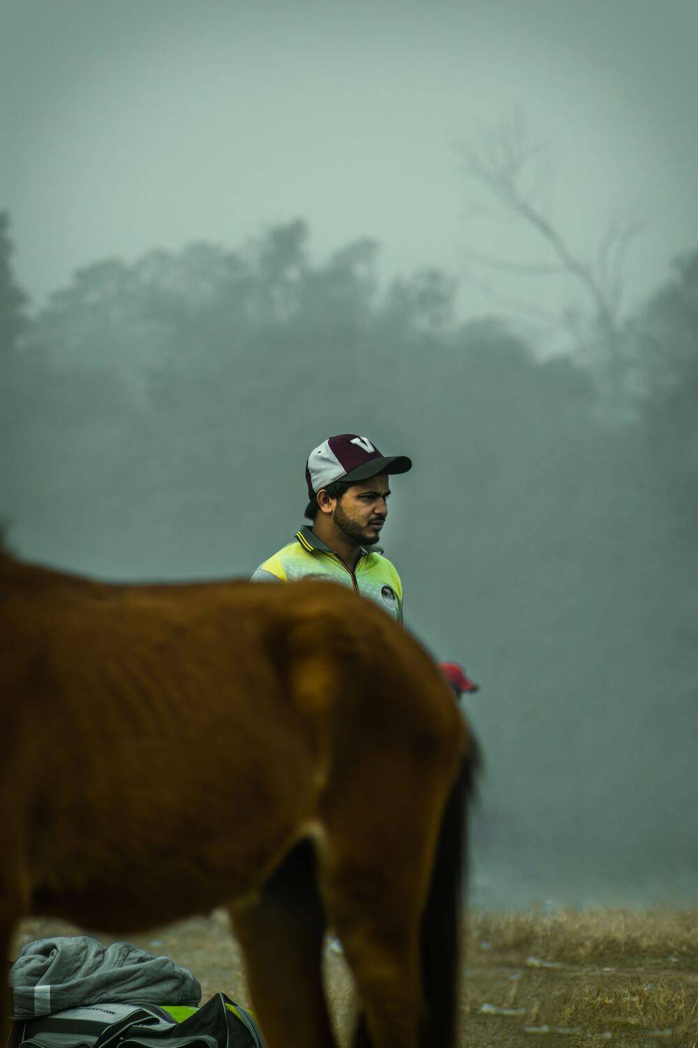 Фотография #8935748