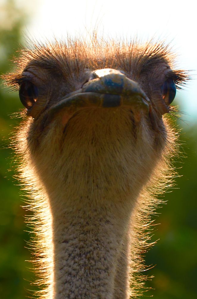 Photograph by Лена