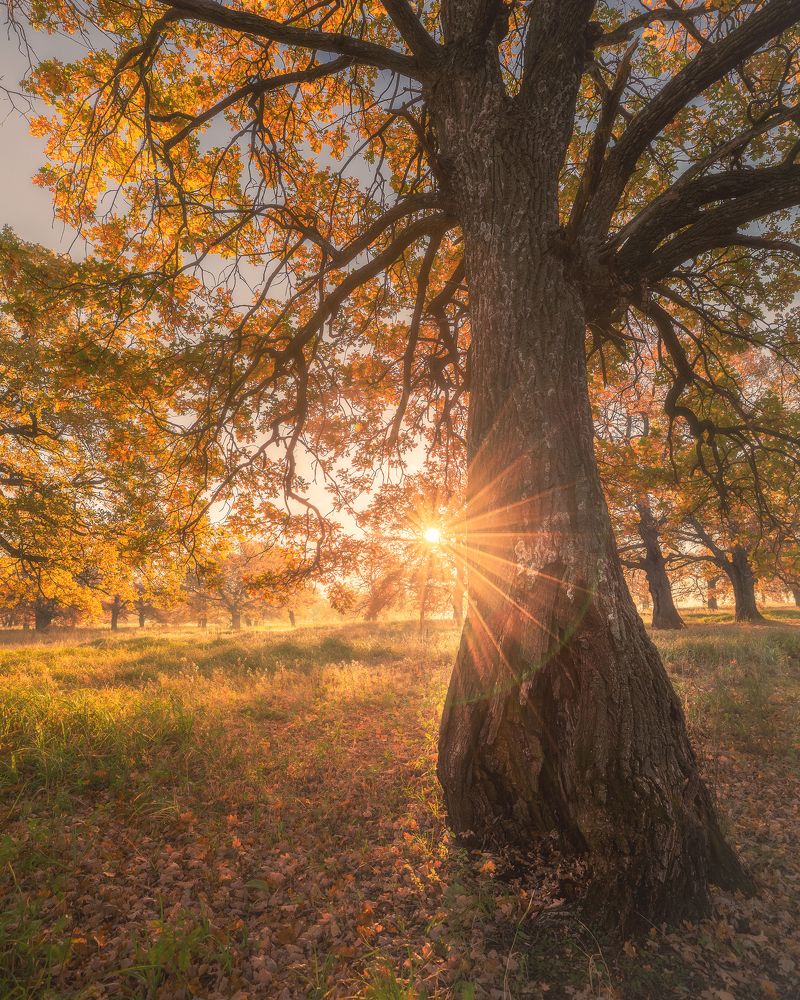 Photograph by Марина Сорокина