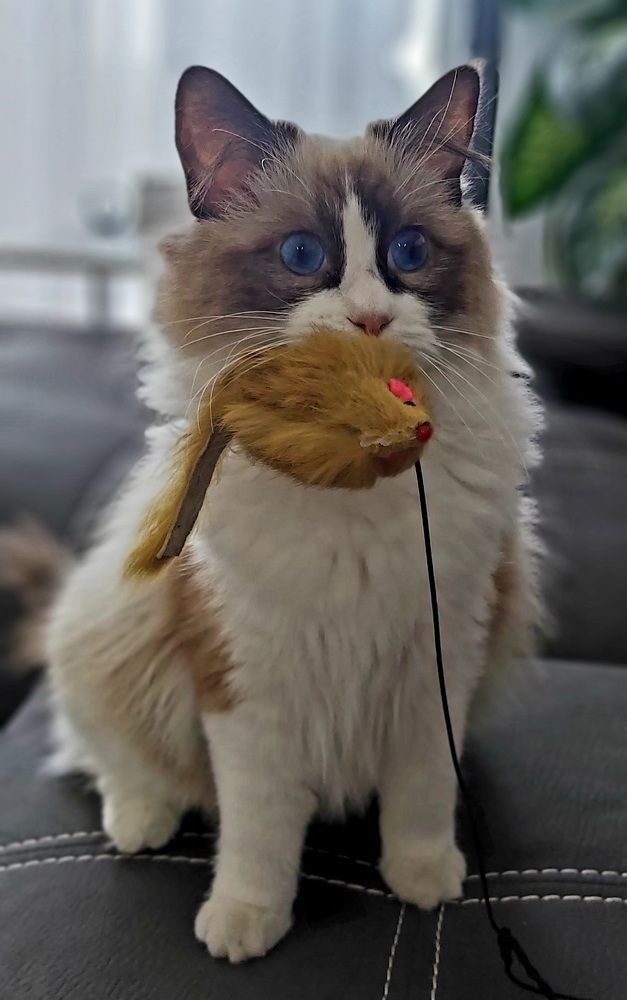 Photograph by Rina Faktor