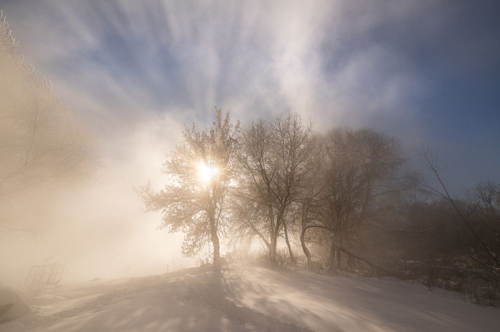 Photograph by Алексей Горохов