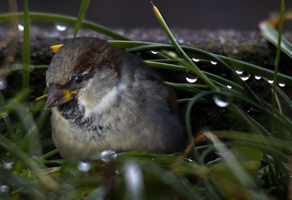 Photograph by Vladimir Jablanov