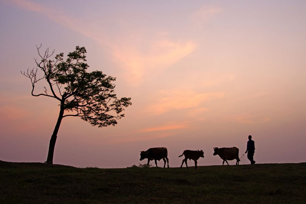 Photograph by CHINMOY BISWAS