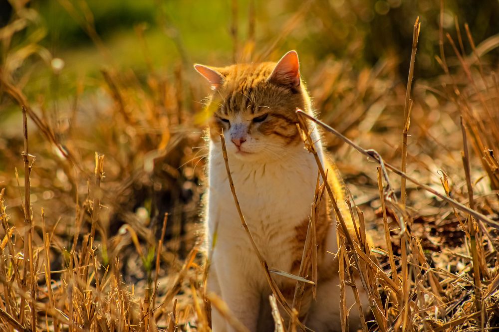 Photograph by Ирина Коновалова