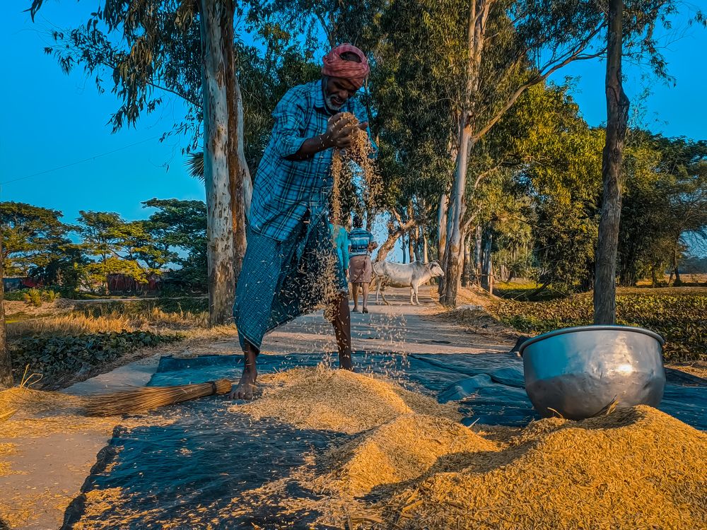 Photograph by Trishik Bose