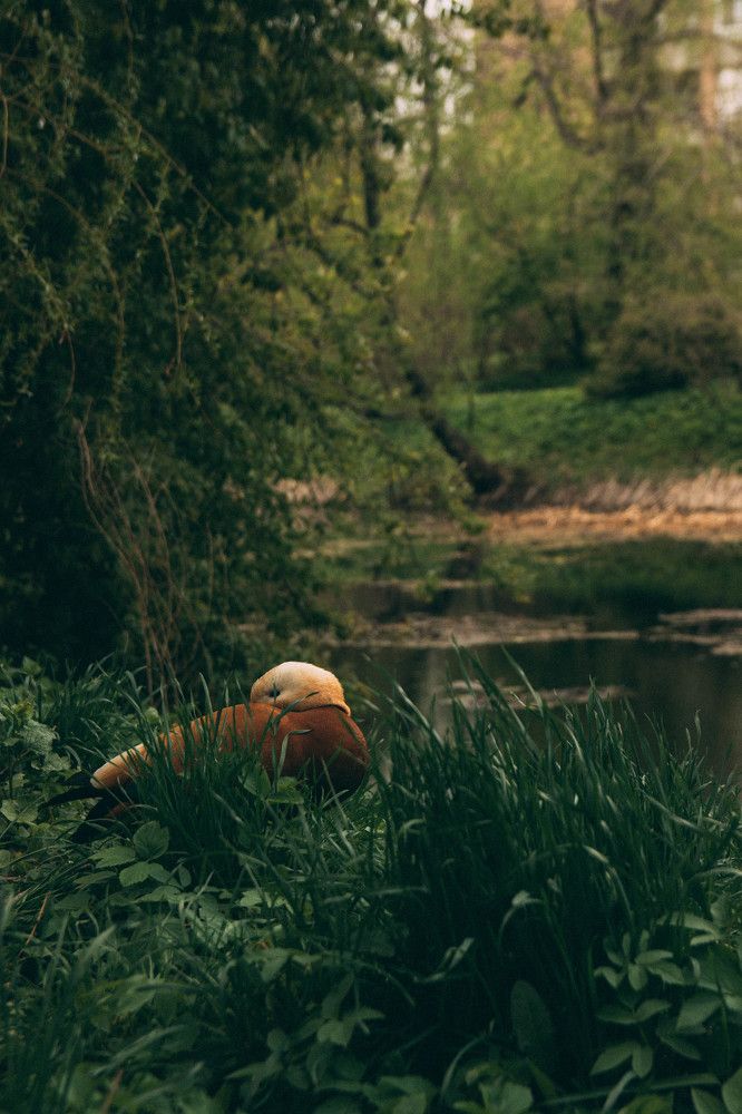 Photograph by Максим Владимирович