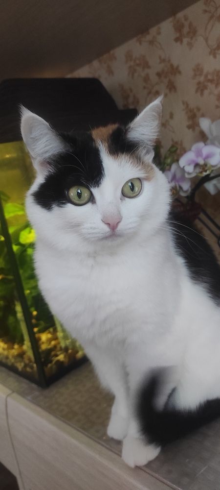 Фотография автора Наталья Сероглазова