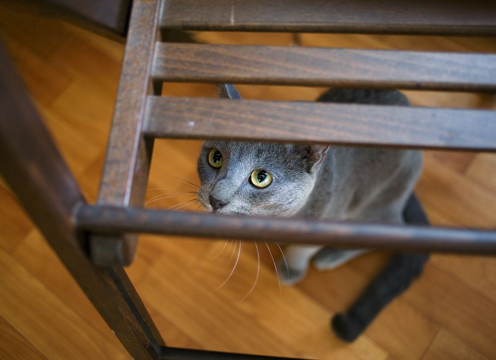 Photograph by Андрей Ларионов