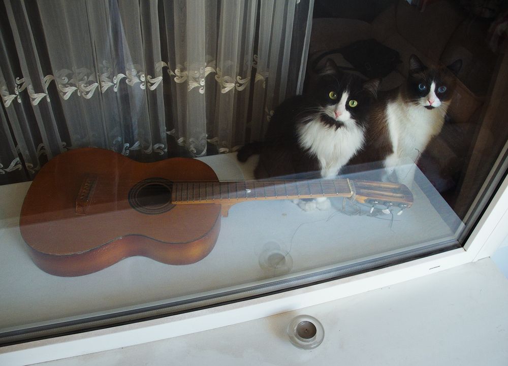 Photograph by Андрей Ларионов