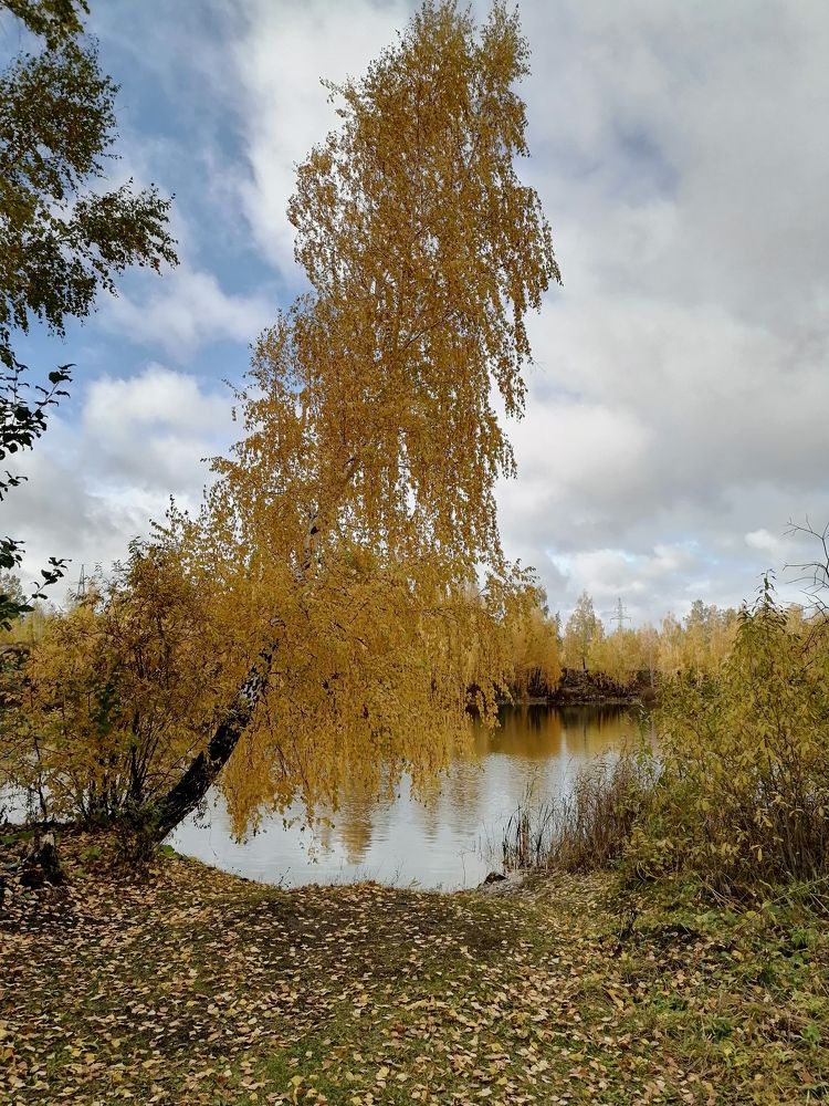 Photograph by Светлана Кудянова