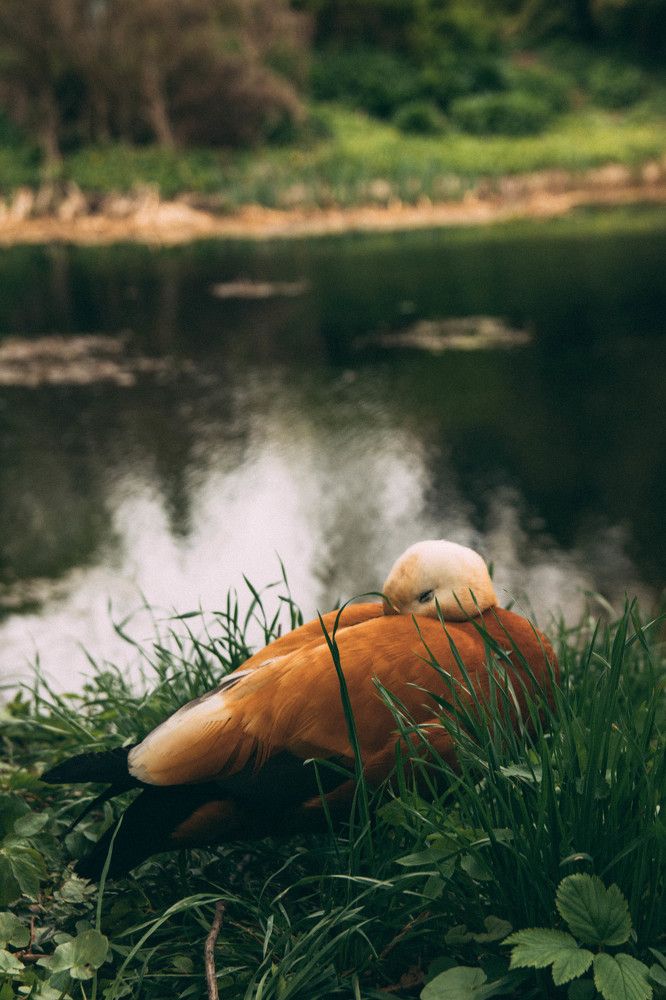Photograph by Максим Владимирович