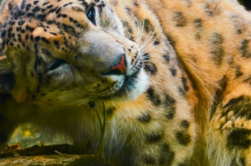 Photograph by Лена