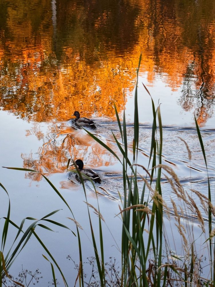 Photograph by Алеся Цеван