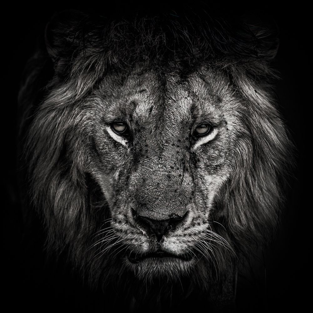 Фотография автора Sunny Saha Pramanick