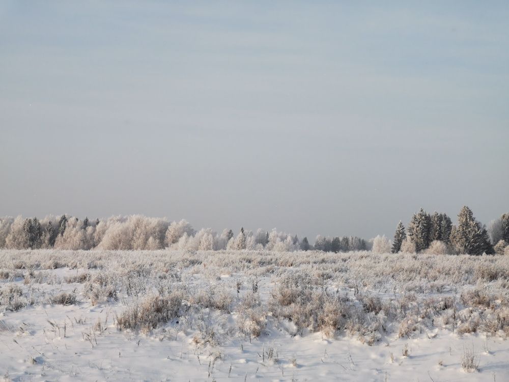 Photograph by Чупин Кузьма