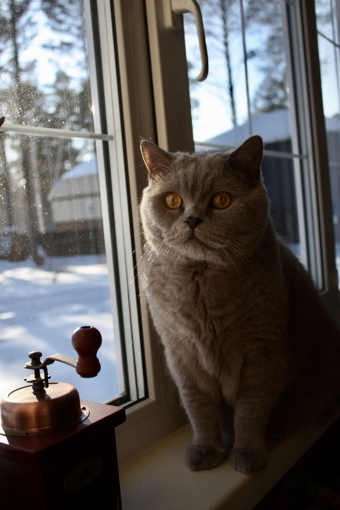 Photograph by Анна Вокина