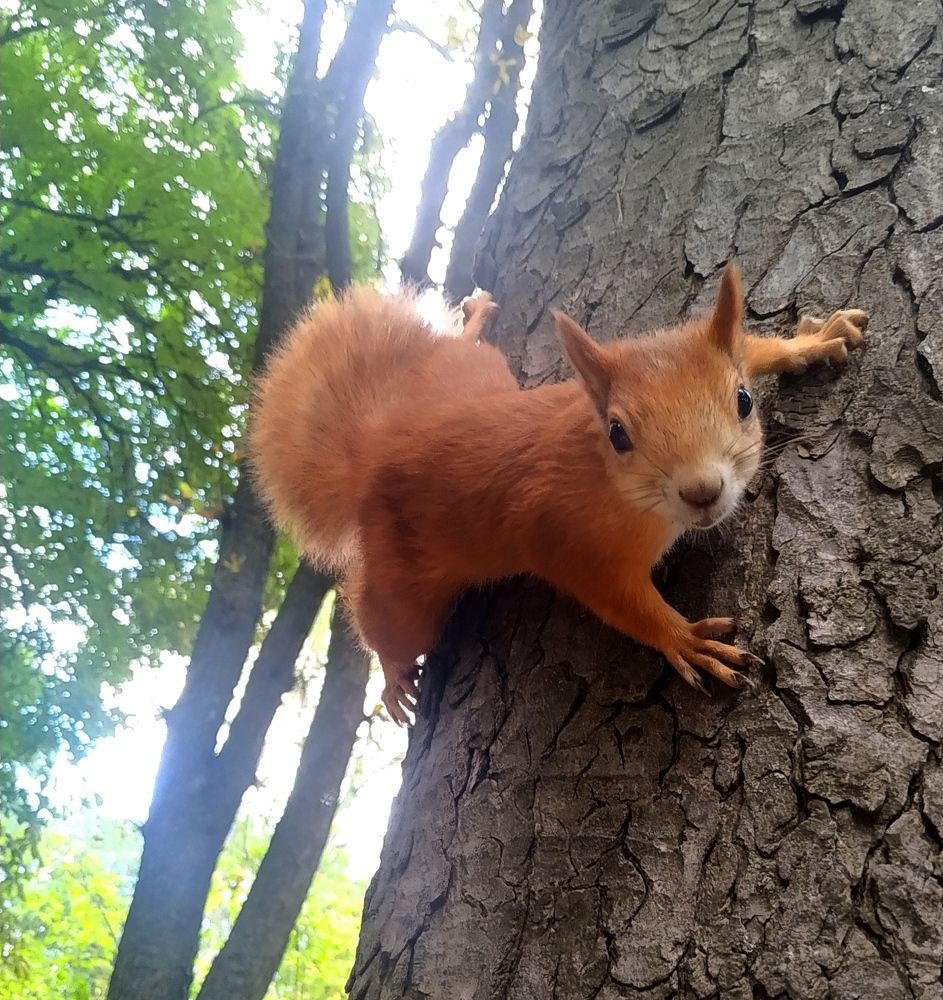 Photograph by Дмитрий Царт