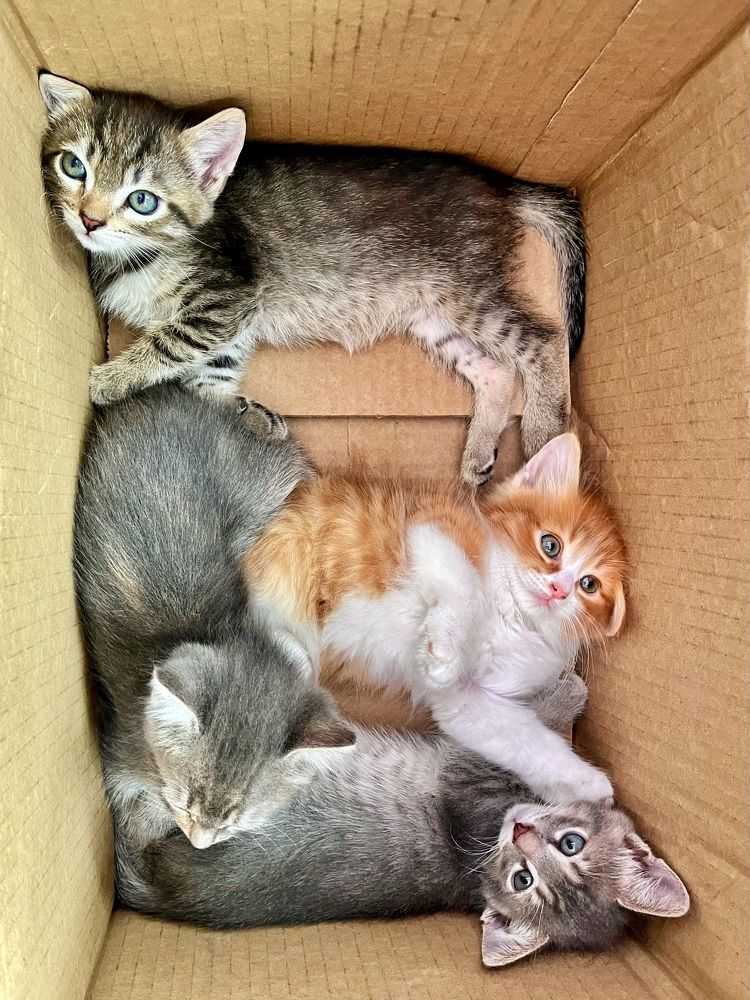 Photograph by Диана Гювенч