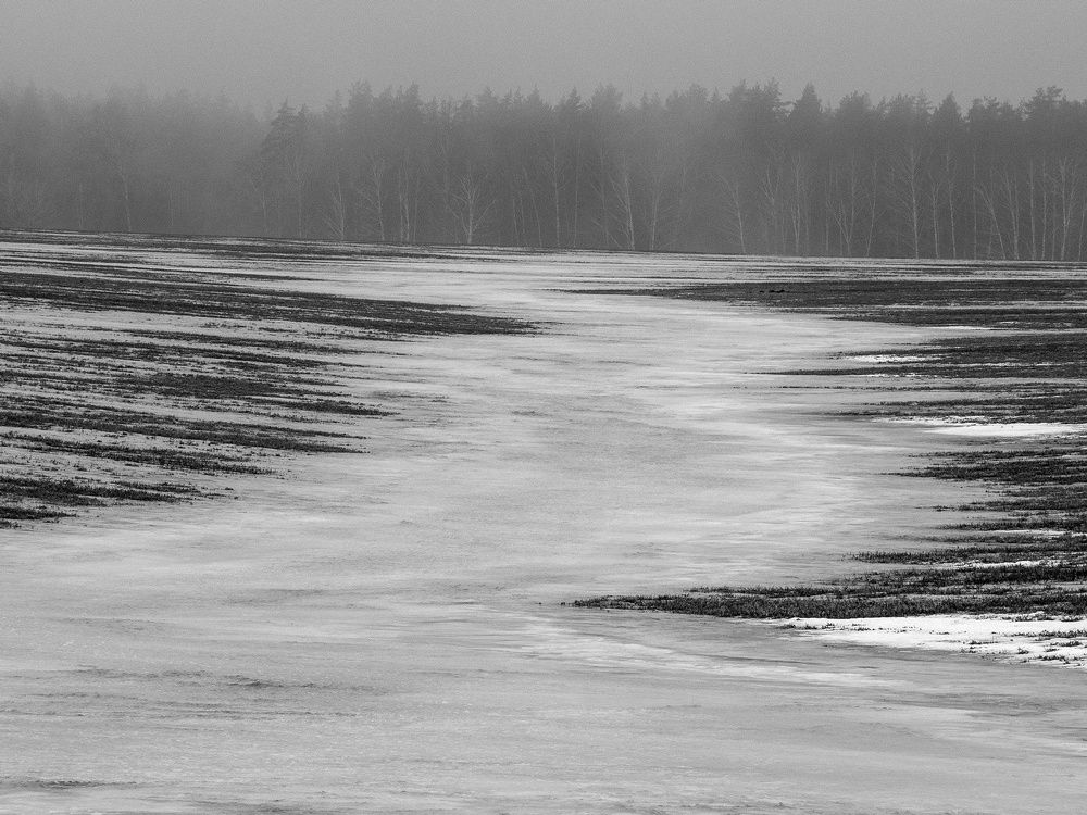 Photograph by Степанов Евгений