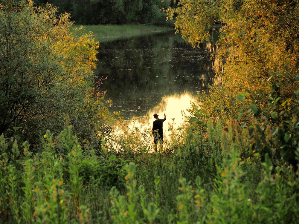 Photograph by Надежда Васильева