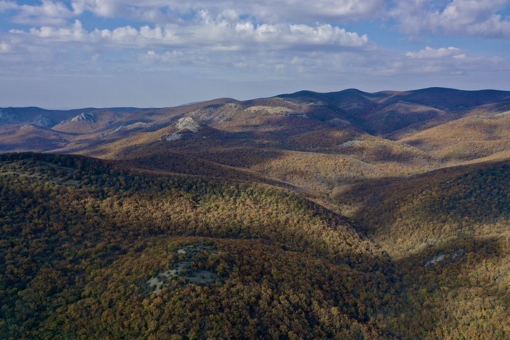 Photograph by Дмитрий Батагов