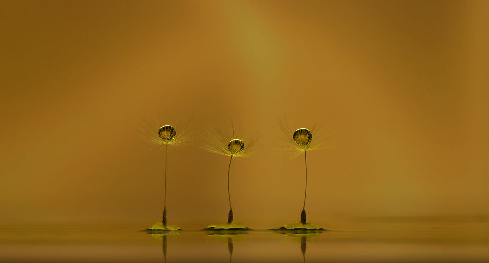 Photograph by Mariya Obidina