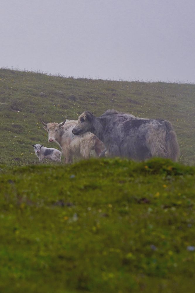 Photograph by Анжелика Гладких
