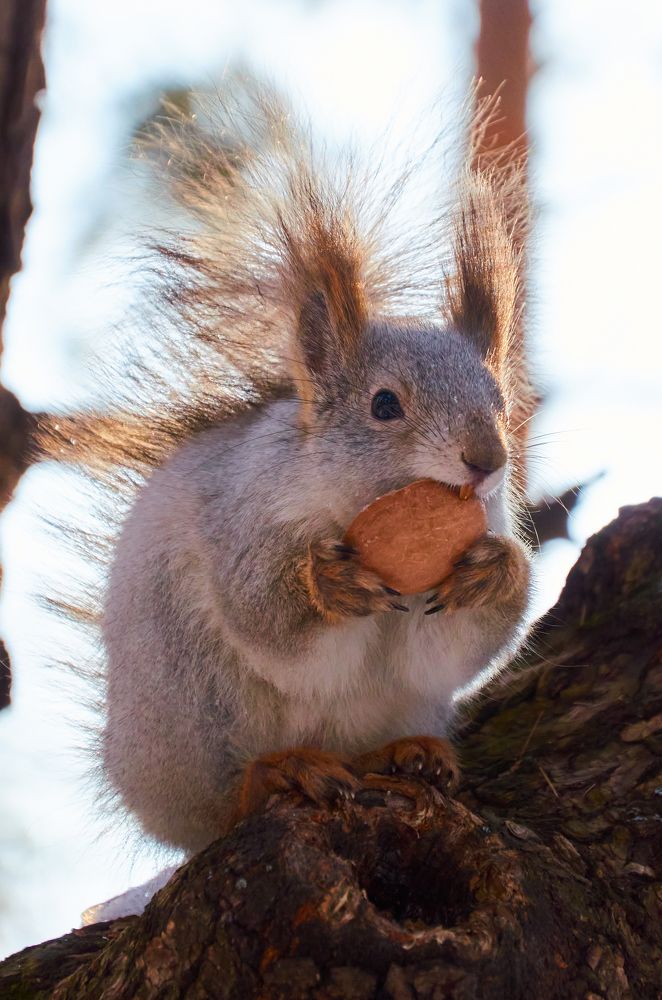 Photograph by Лена