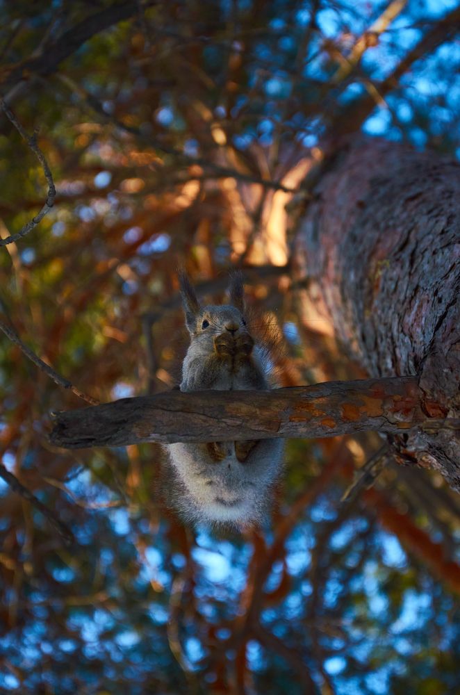 Photograph by Лена