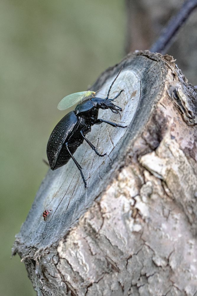 Photograph by Елена Иванова