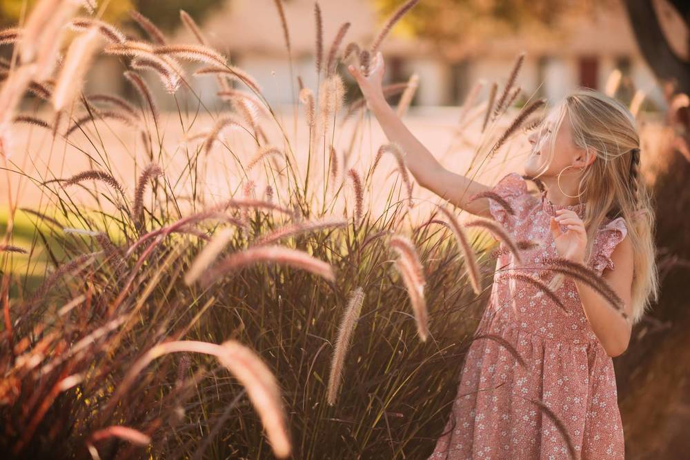 Sunlight and fountain grass