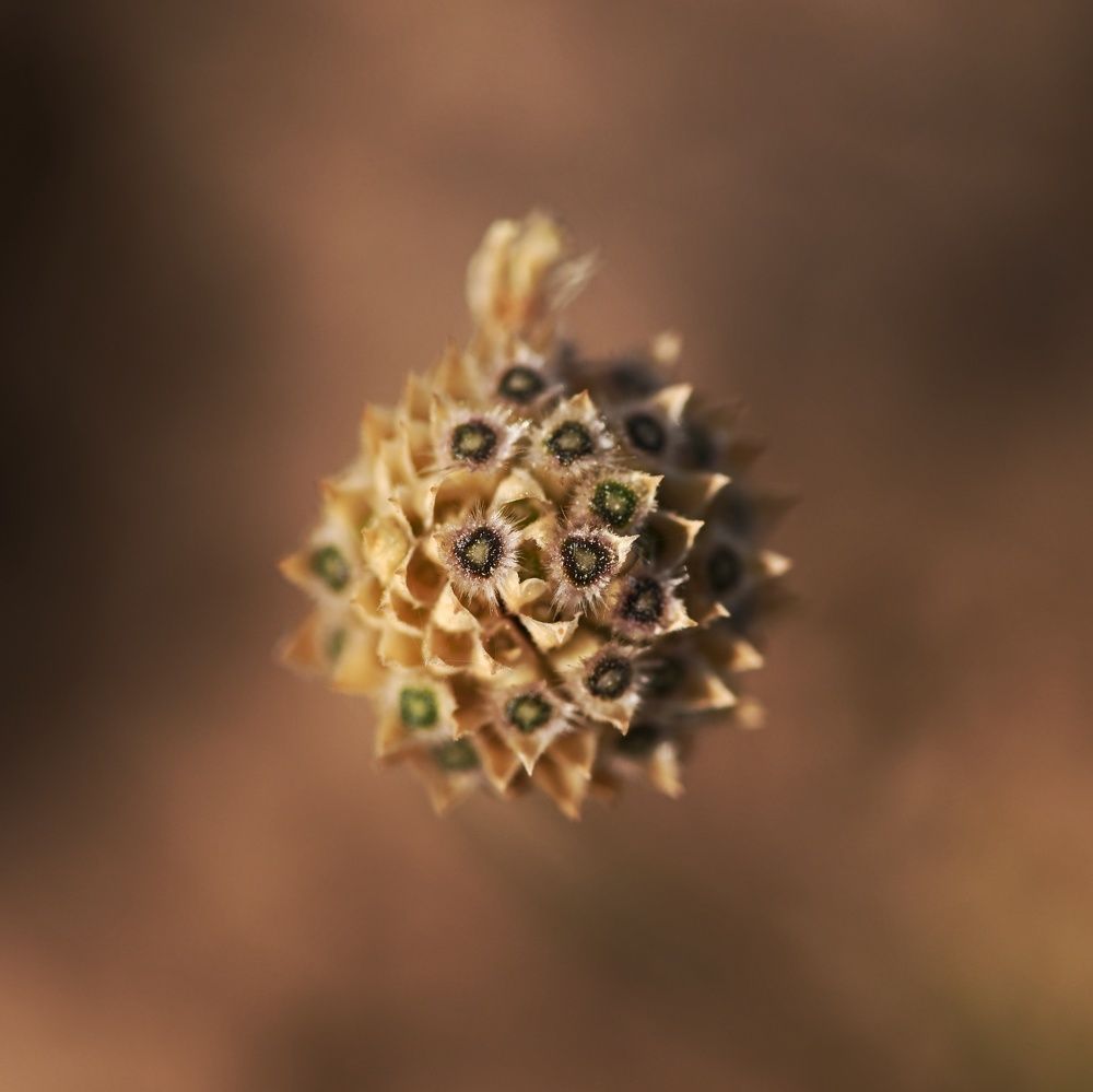 Photograph by Дмитрий Батагов