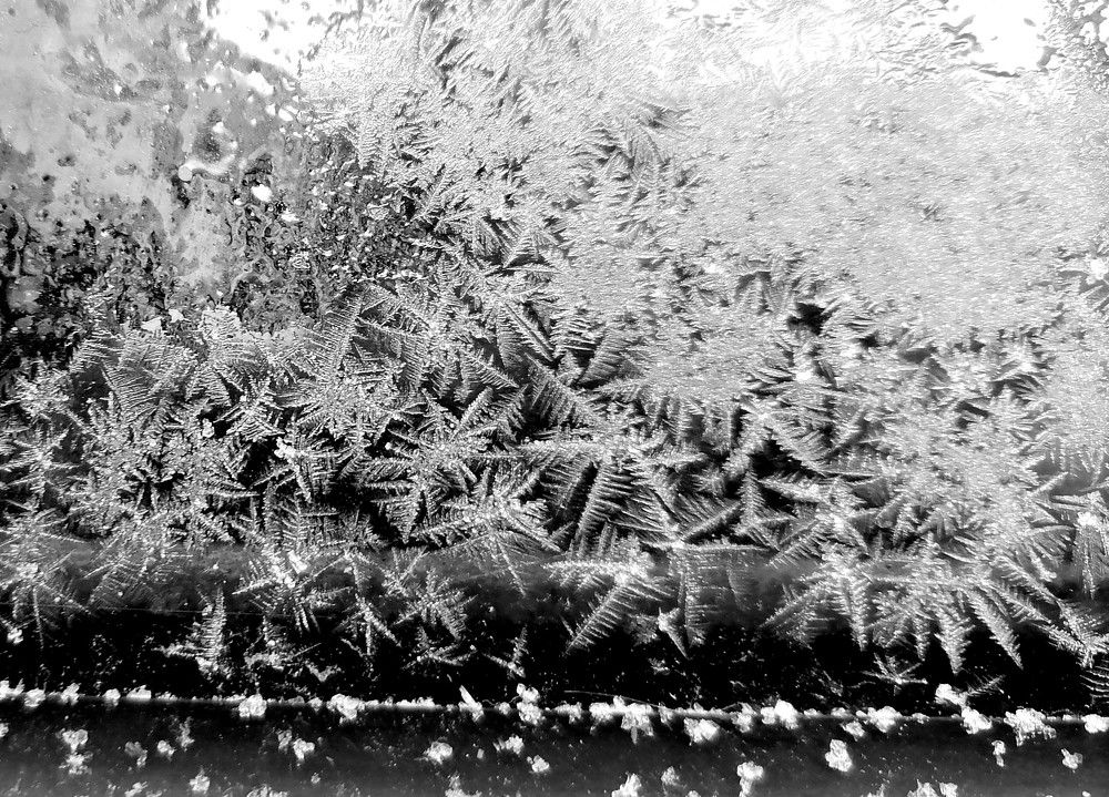 Photograph by Тамара Багровская