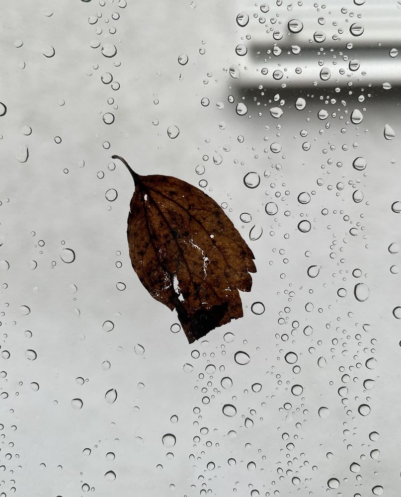 Photograph by Марина Дикманн