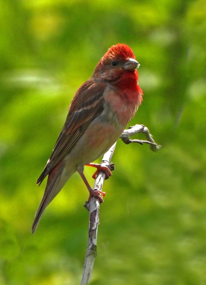 Photograph by Татьяна ТУРСКАЯ