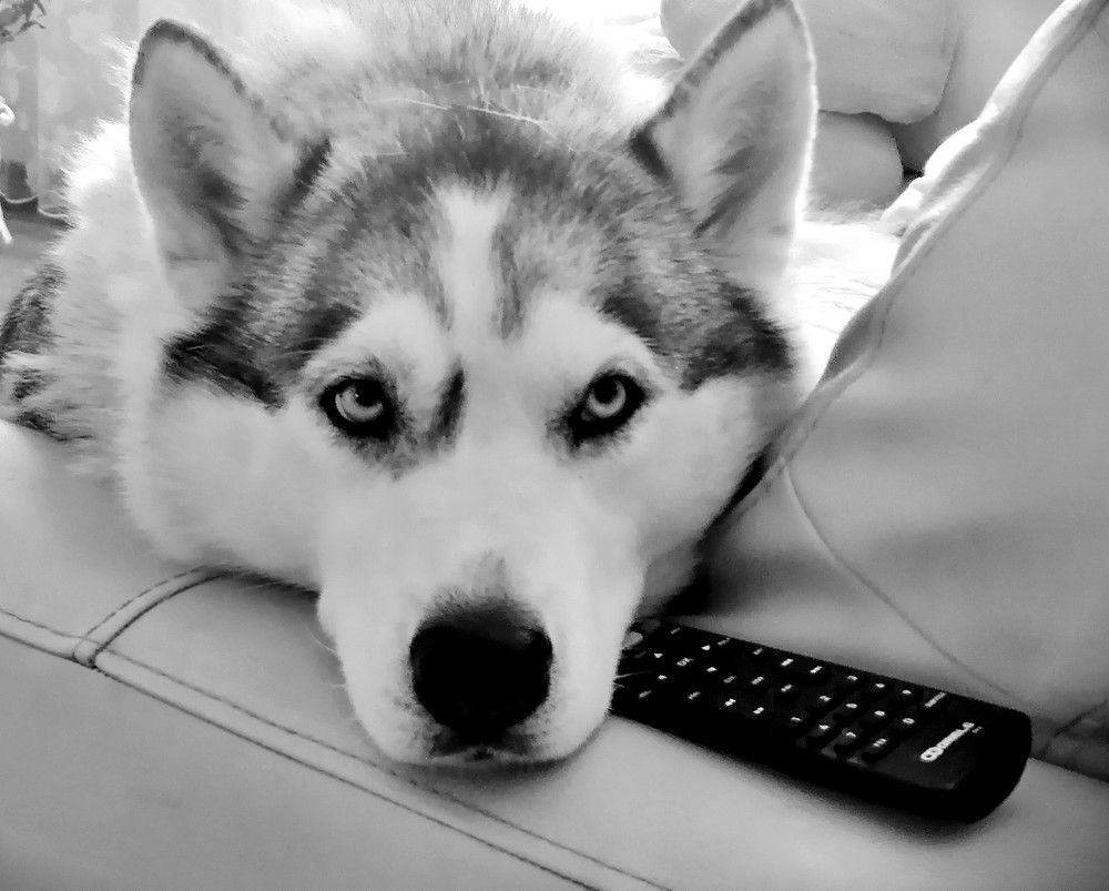 Photograph by Тамара Багровская