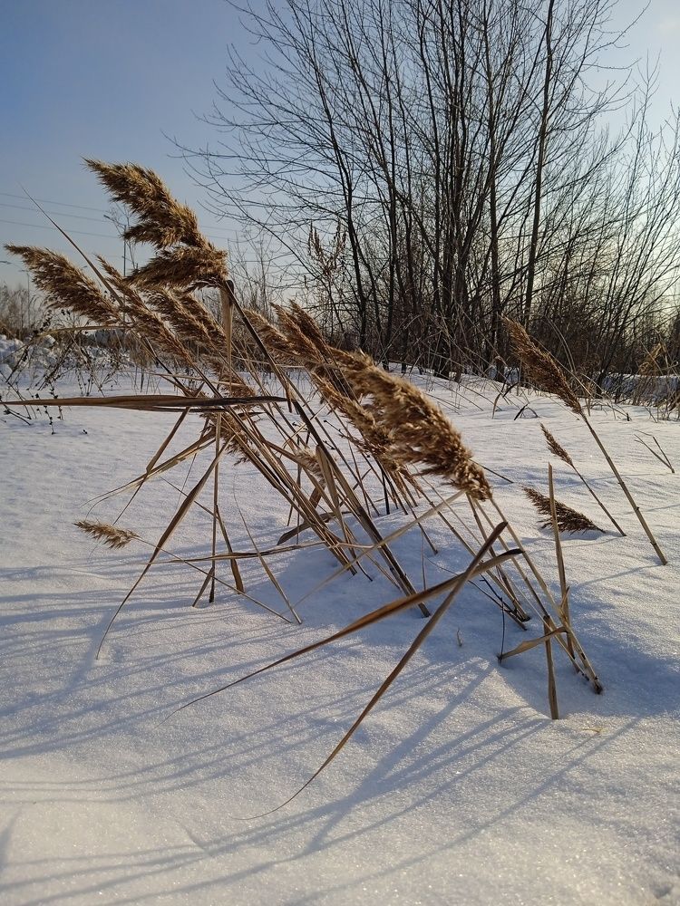 Photo #8936564