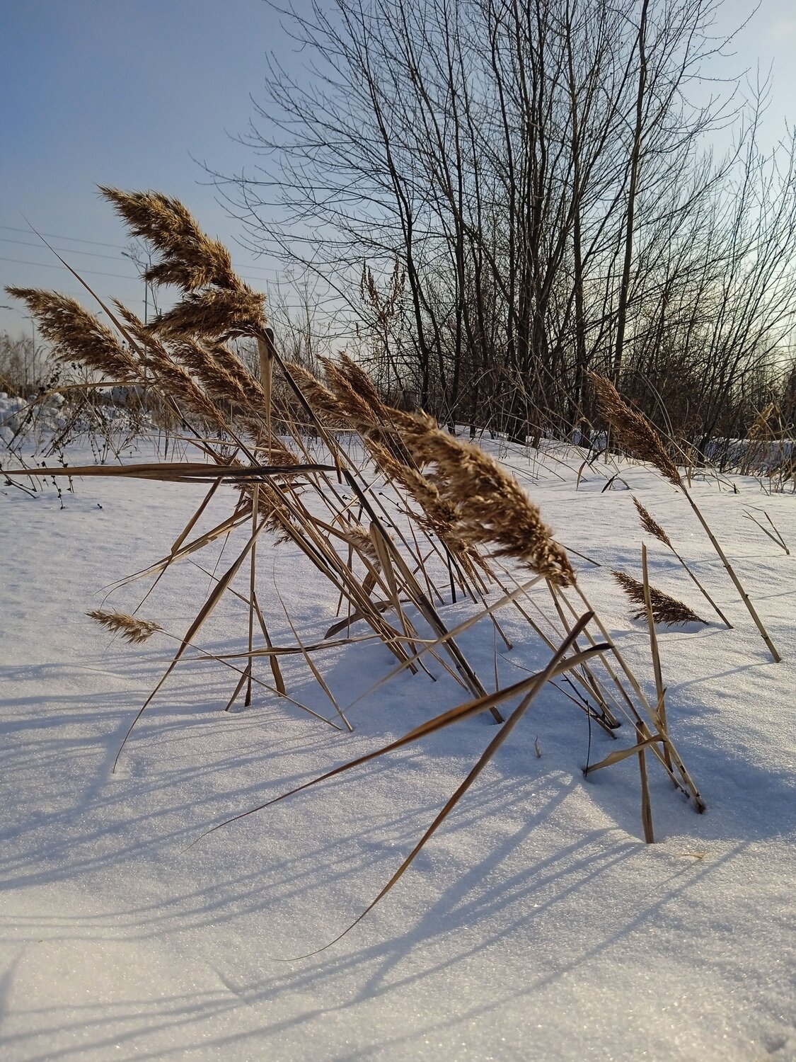 Photo #8936564