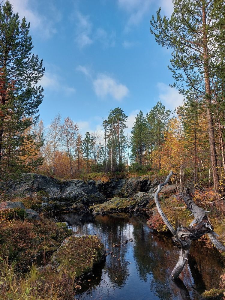 Фотография автора Андрей Русских