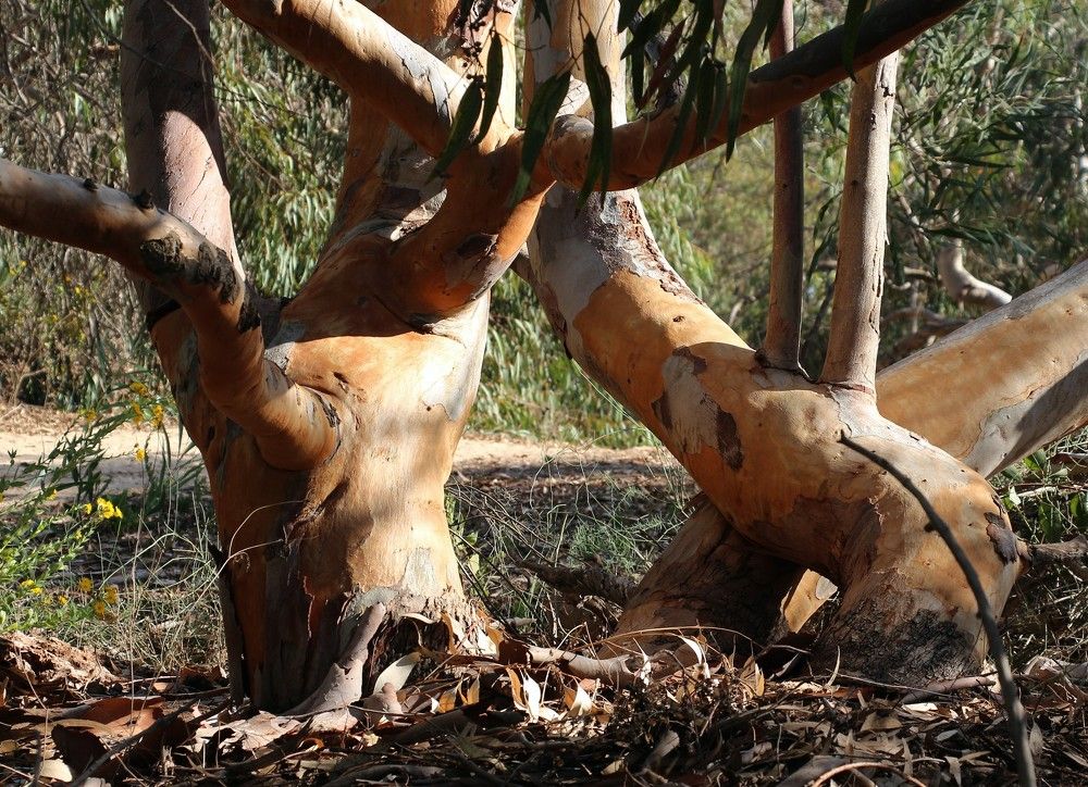 Photograph by Александр Коган