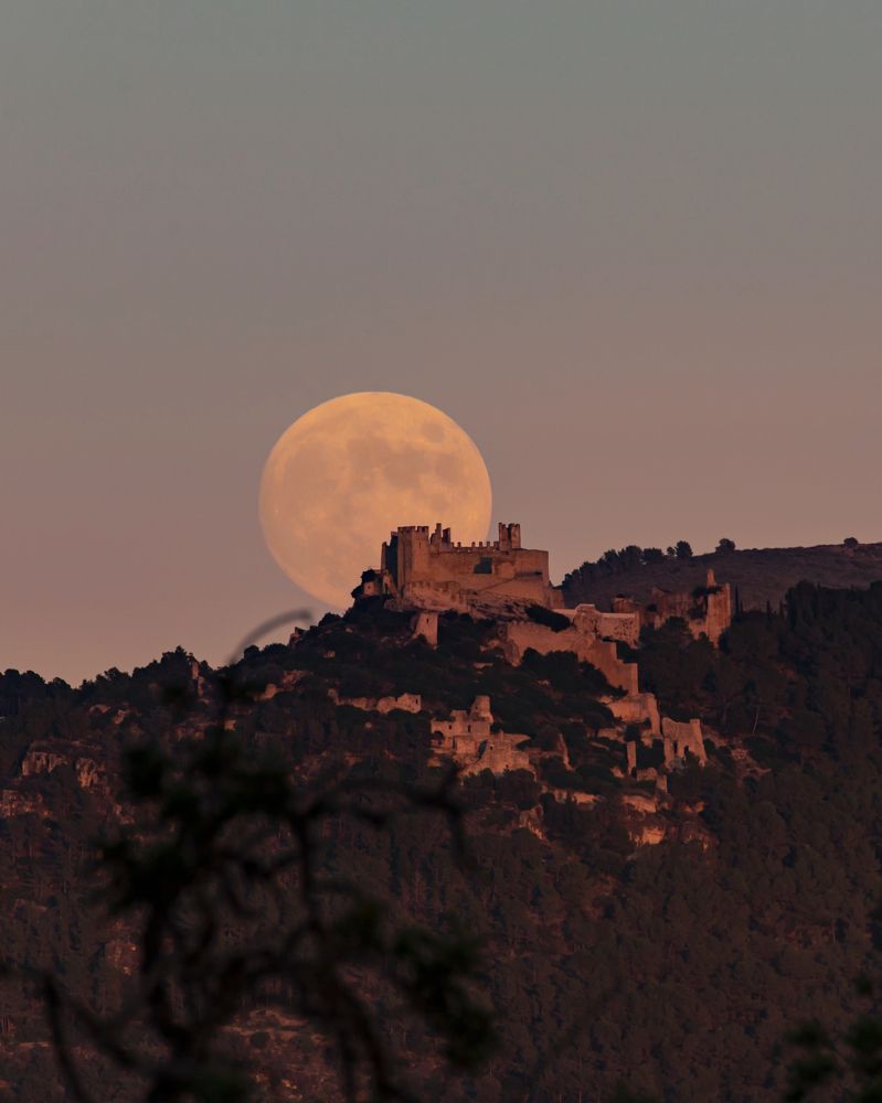 Photograph by Jessica Rojas