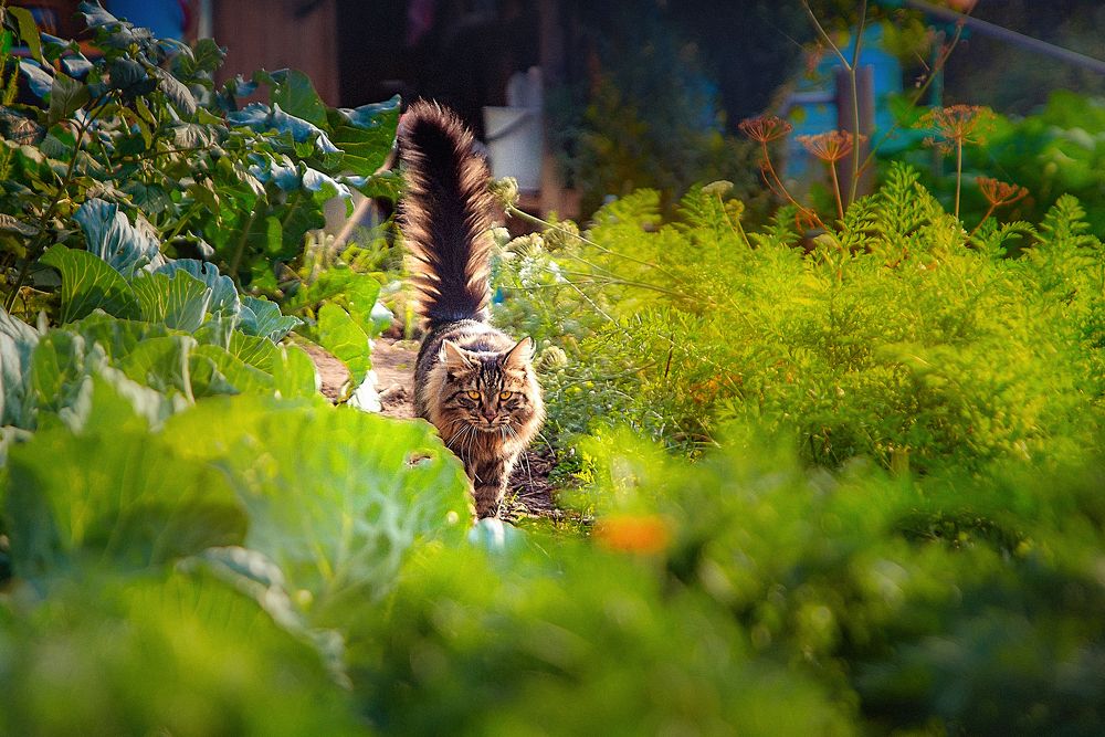 Photograph by Oksana Kolovskaya