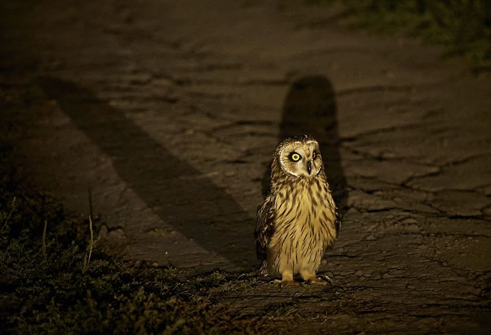 Photograph by Алексей Епишкин